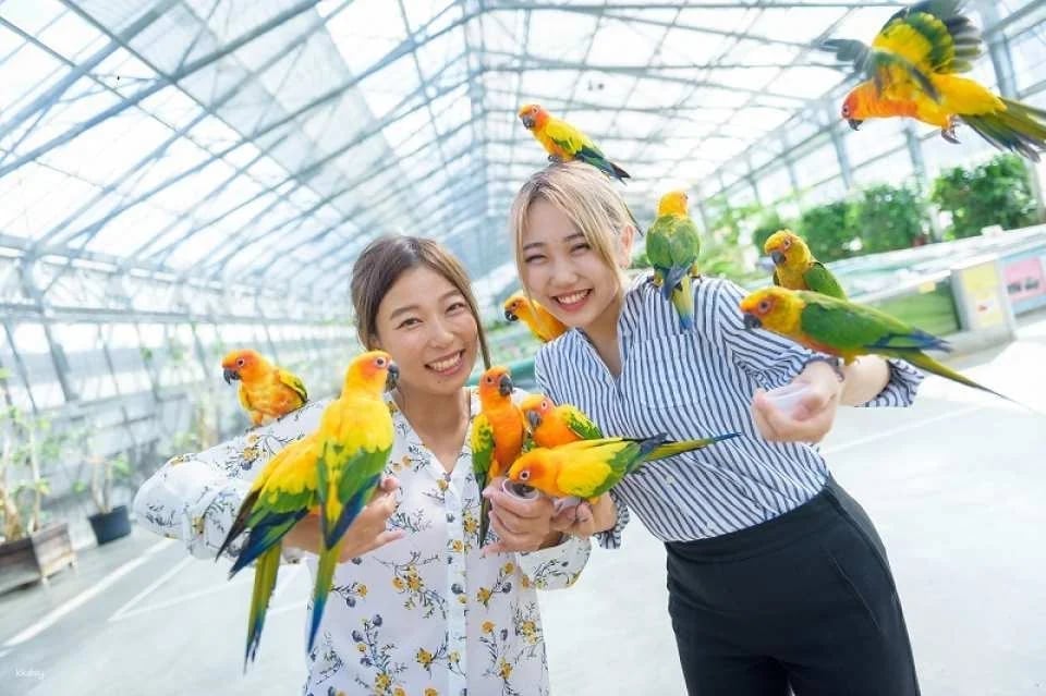 Kakegawa Kachouen: Kakegawa Flower and Bird Park - Japan