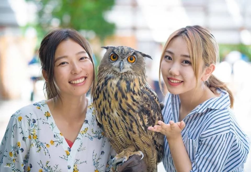 Kakegawa Kachouen: Kakegawa Flower and Bird Park | Japan