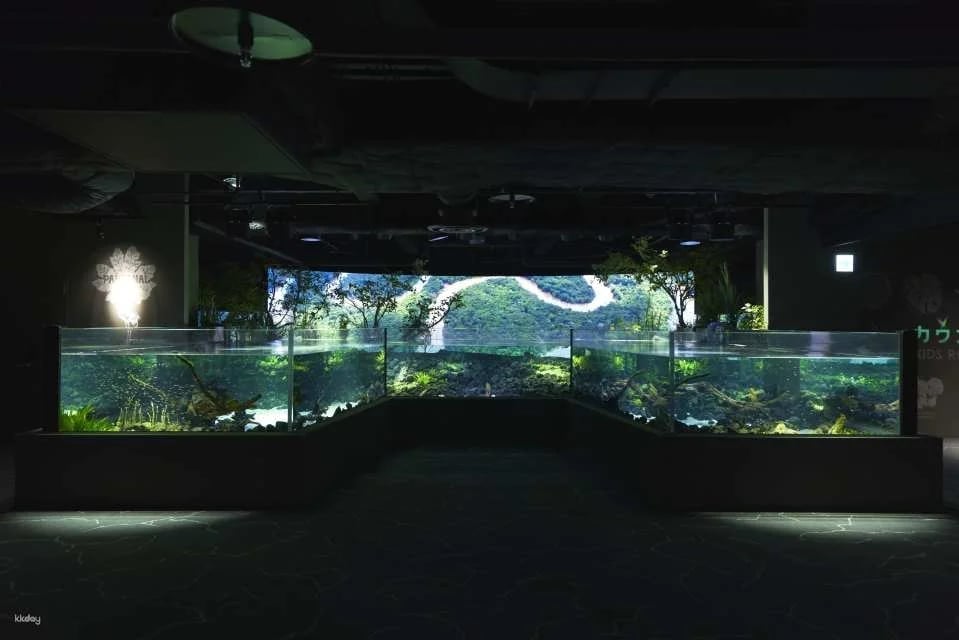 Kanagawa, Japan|Kawasui Kawasaki Aquarium|E-Ticket