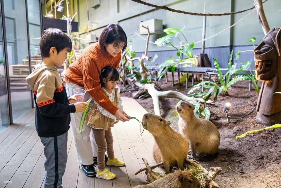 Kanagawa, Japan｜Kawasui Kawasaki Aquarium｜E-Ticket