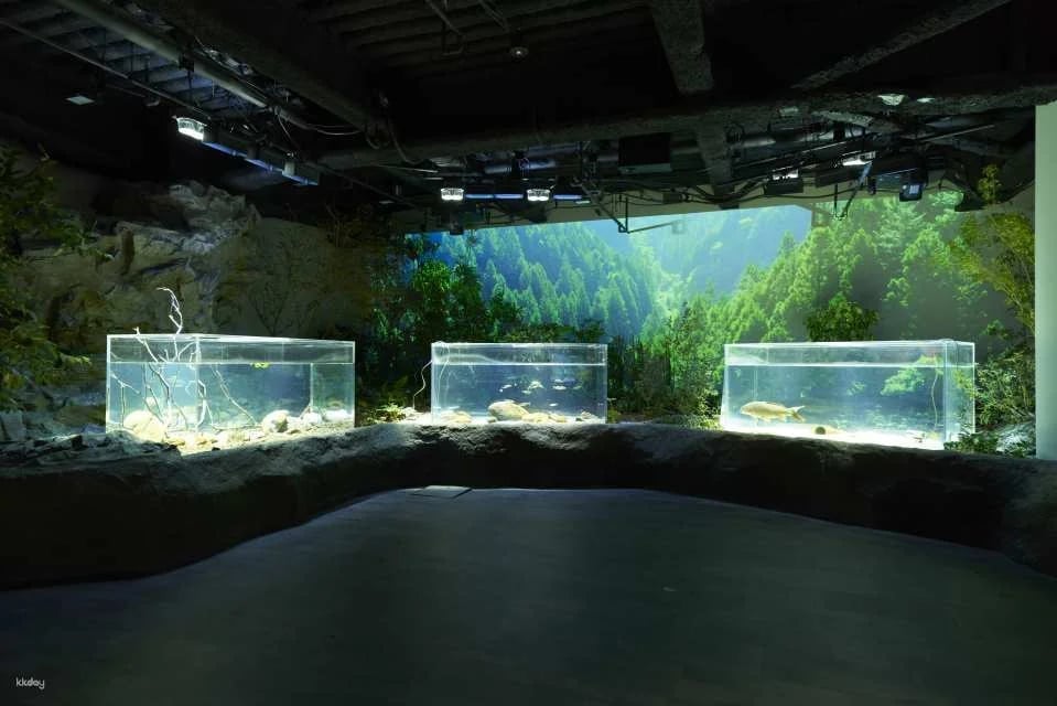 Kanagawa, Japan｜Kawasui Kawasaki Aquarium｜E-Ticket