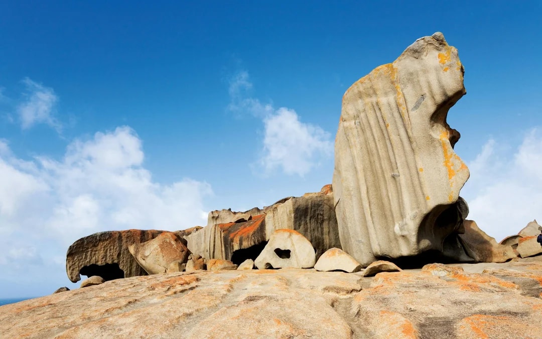 Kangaroo Island Guided Tour with Return Ferry, Lunch & Adelaide Transfers Image 6