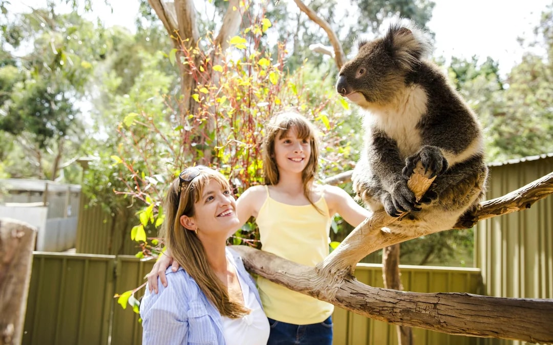 Kangaroo Island Guided Tour with Return Ferry, Lunch & Adelaide Transfers Image 8