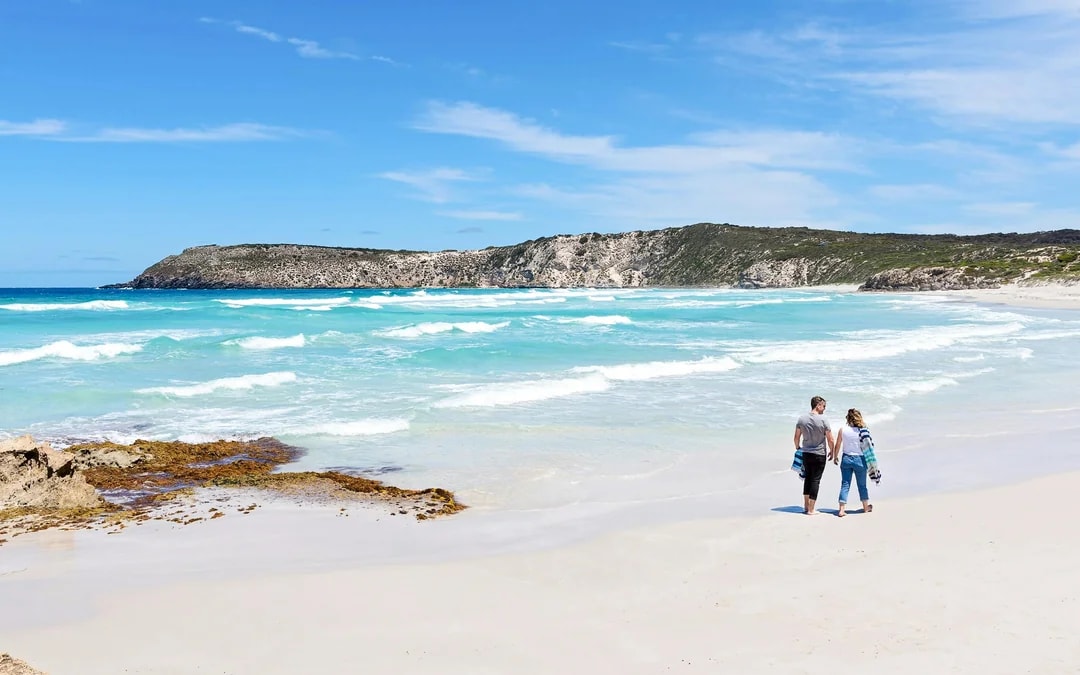 Kangaroo Island Guided Tour with Return Ferry, Lunch & Adelaide Transfers Image 10