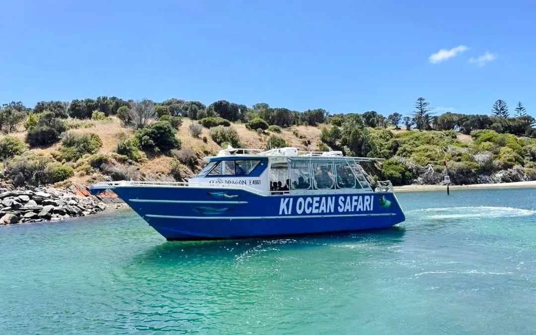 Kangaroo Island: Swim with Dolphins & Seals Snorkel Boat Tour Image 11