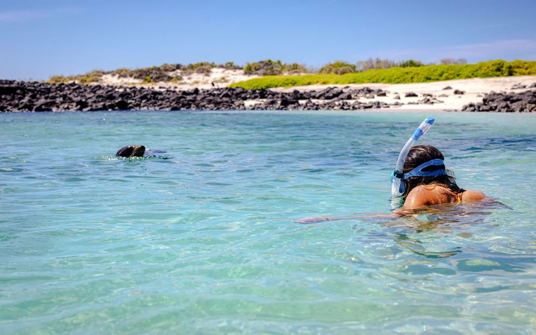 Kangaroo Island: Swim with Dolphins & Seals Snorkel Boat Tour Image 10