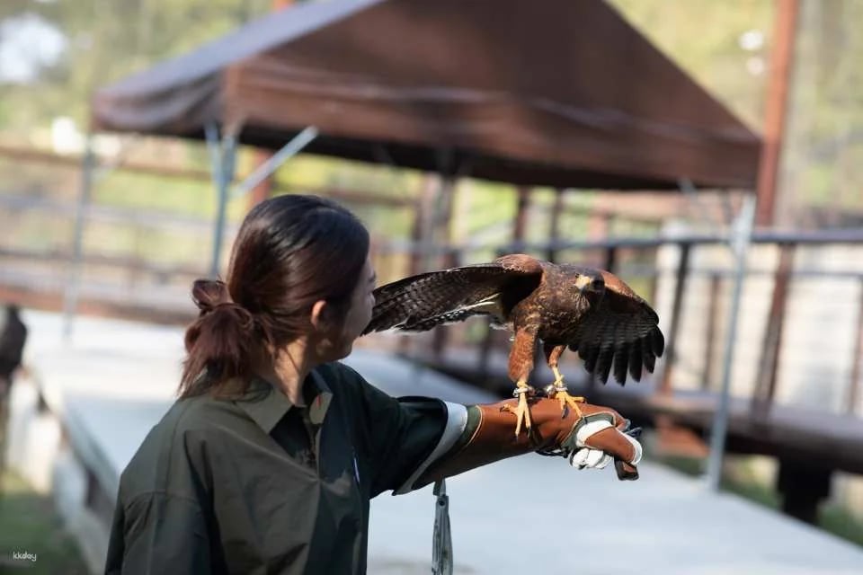 Kaohsiung Wild Forest Animal School Tickets