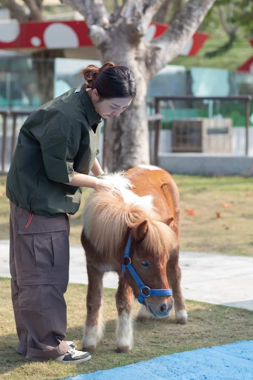 Kaohsiung Wild Forest Animal School Tickets