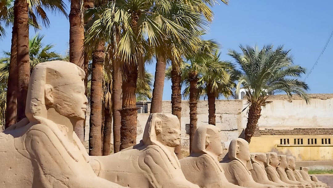 Row of sphinx statues at Karnak Temple, Luxor, Egypt, with palm trees in the background.
