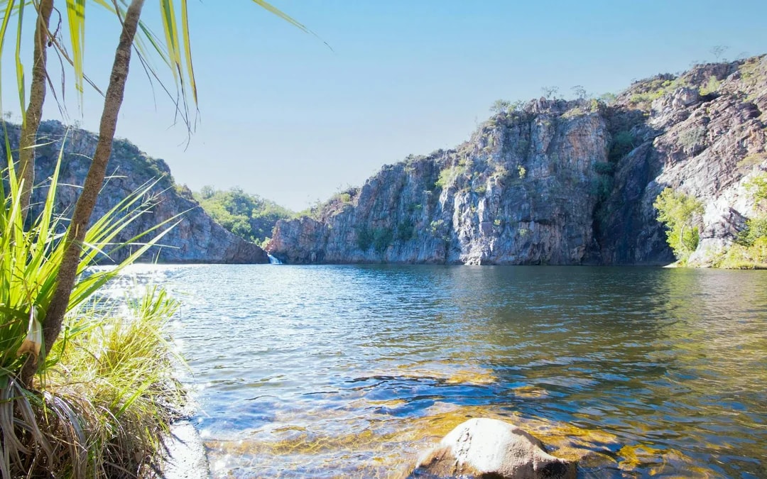 Full-Day Guided Tour of Katherine Gorge & Edith Falls with Round-Trip Transfers Image 4