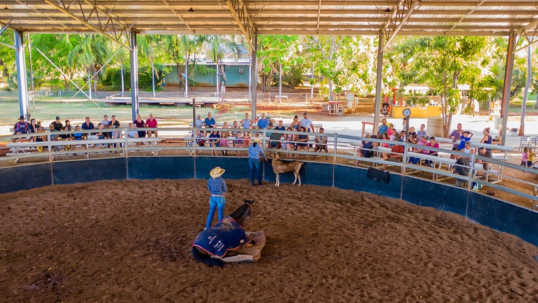 Audience watching a horse and cattle demonstration at Katherine Outback Experience.