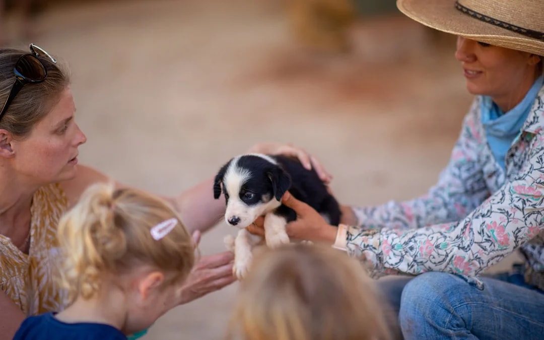 Katherine Outback Experience - 2 Hour Show Image 9