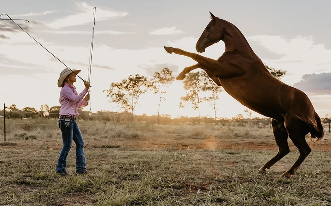 Katherine Outback Experience - 2 Hour Show Image 1