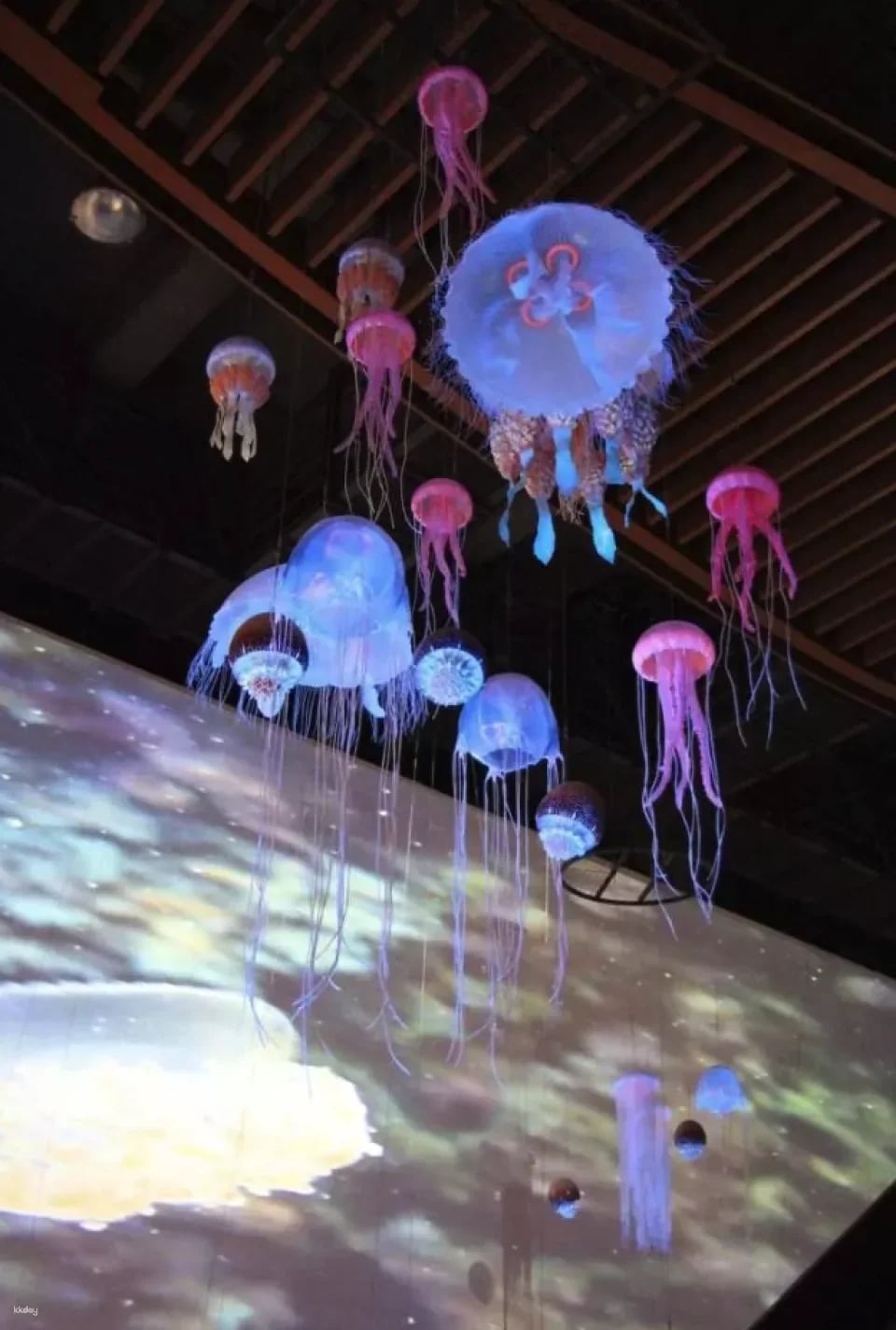 Keelung National Museum of Marine Science and Technology | Tickets & Immersive Exploration Gamebook