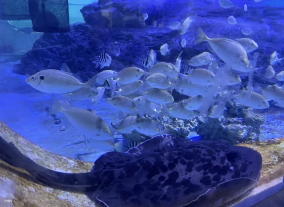 Keelung National Museum of Marine Science and Technology | Tickets & Immersive Exploration Gamebook