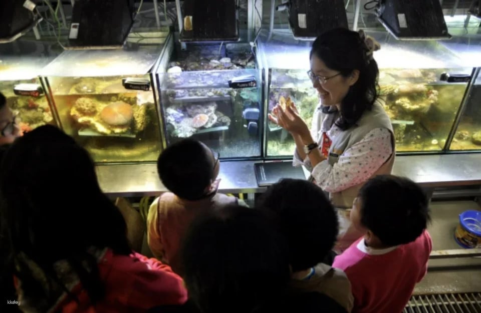 Keelung National Museum of Marine Science and Technology | Tickets & Immersive Exploration Gamebook