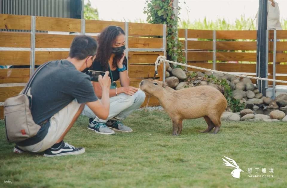 Kenting Lujing Sika Deer Ecological Park Ticket