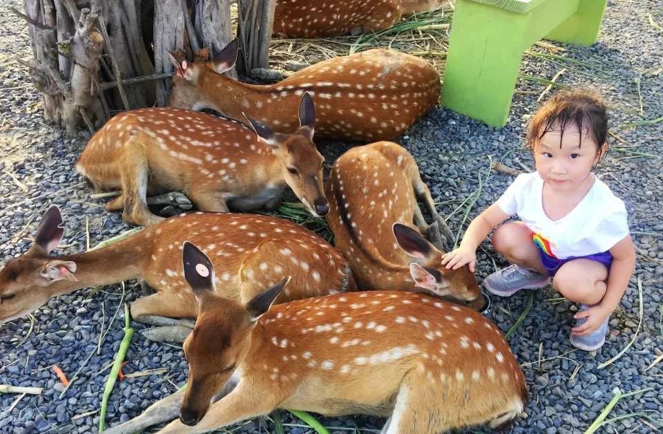 Kenting Lujing Sika Deer Ecological Park Ticket
