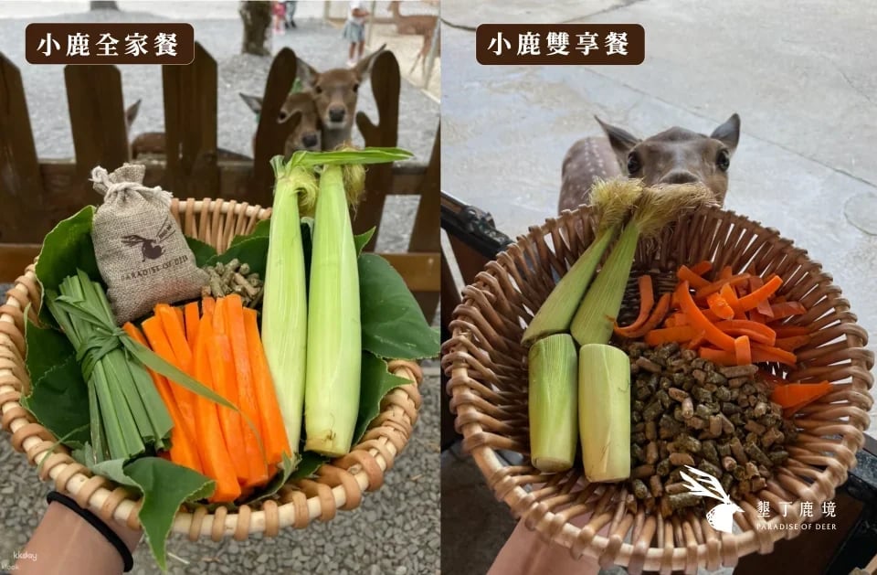Kenting Lujing Sika Deer Ecological Park Ticket