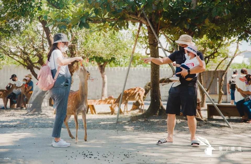 Kenting Lujing Sika Deer Ecological Park Ticket
