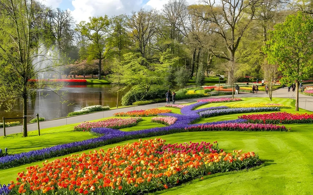 Keukenhof Entry with Transfers from Amsterdam Image 10