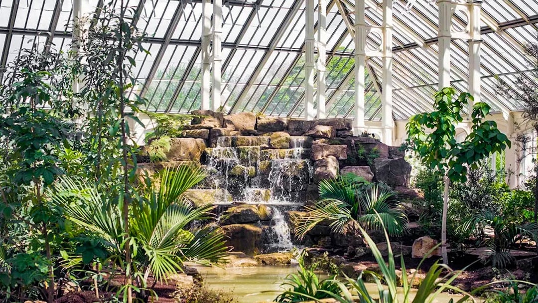Waterfall surrounded by lush plants in the Temperate House at Kew Gardens.