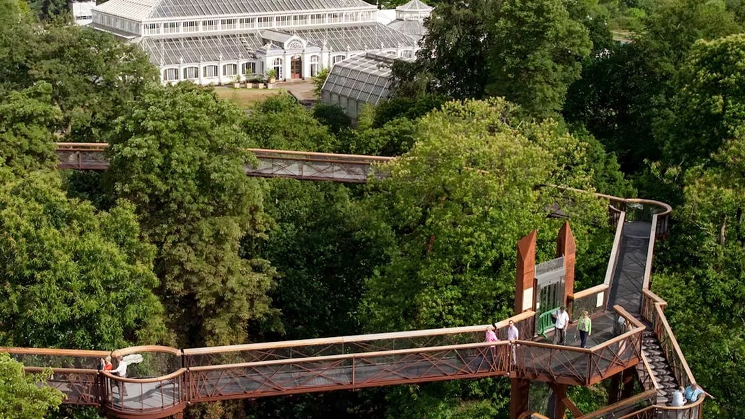 Aerial view of Treetop Walkway in Kew Gardens, London, surrounded by lush greenery.