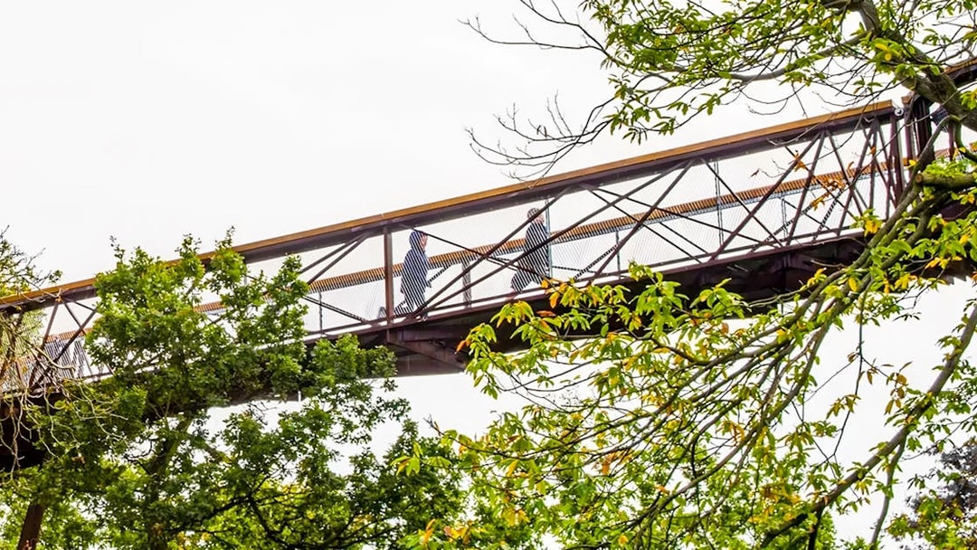Visitors walking on the treetop walkway at Kew Gardens, London.
