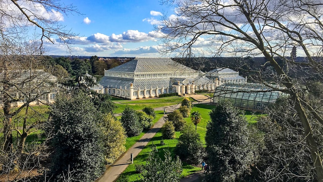 Kew Gardens glasshouse surrounded by trees and pathways, London.