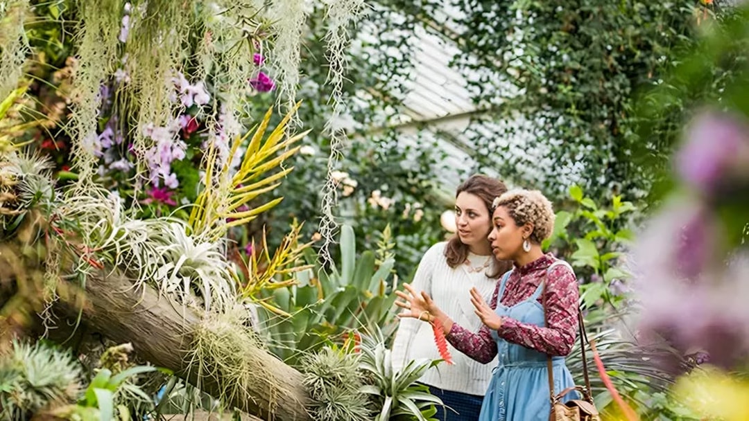 Visitors exploring tropical plants inside Kew Gardens greenhouse.