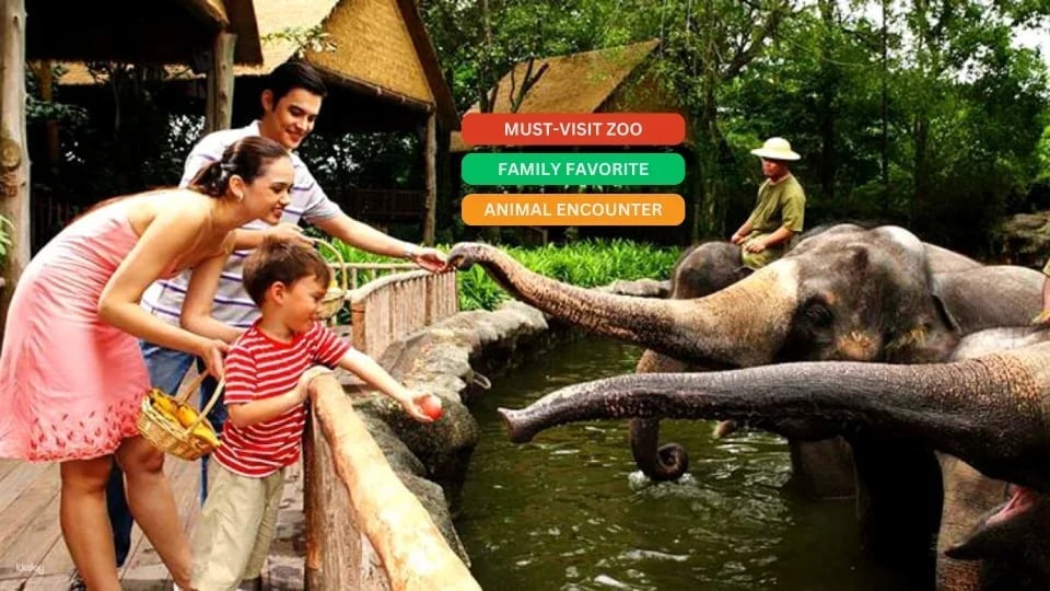 Khao Kheow Open Zoo Entrance Ticket - Thailand