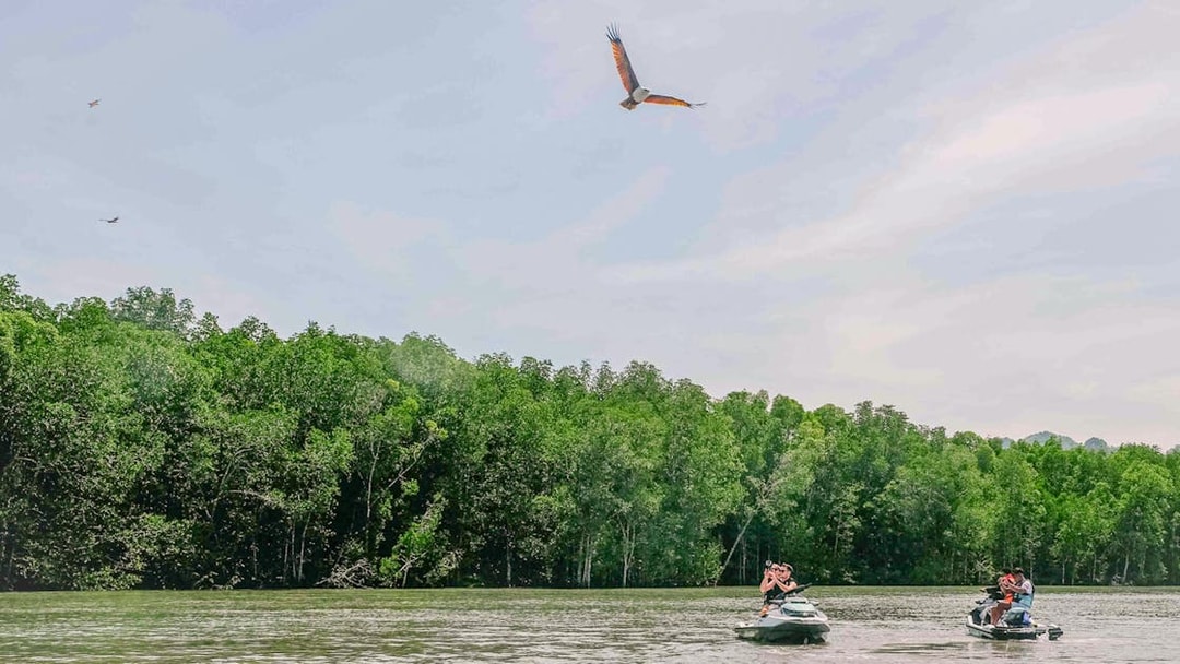 Jet skis on Langkawi's Kilim Geopark waters with eagles soaring above.
