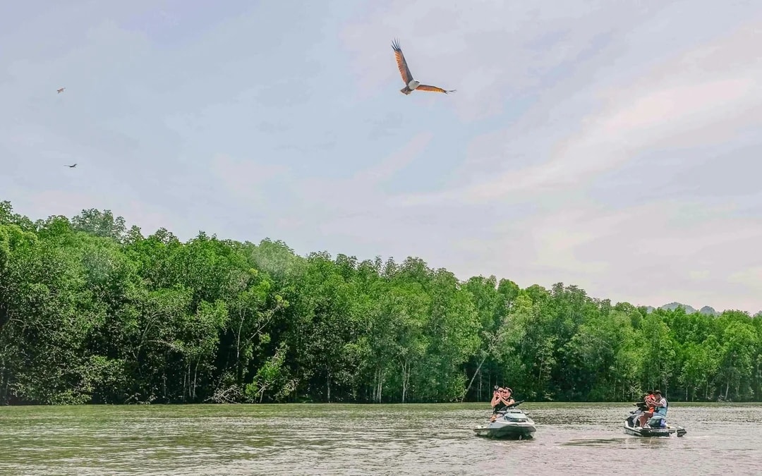 Langkawi Mangrove Jet Ski Tour - Kilim Geoforest Park Image 3