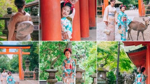 Japan Colored Weaving Nara Park Kasugataisha Shrine Mount Wakakusa Tōdai-ji Toshodaiji Deer Kimono Rental Tokyo Kyoto Experience Reservation Booking Trip Moments Kiyomizu-dera Temple Photography