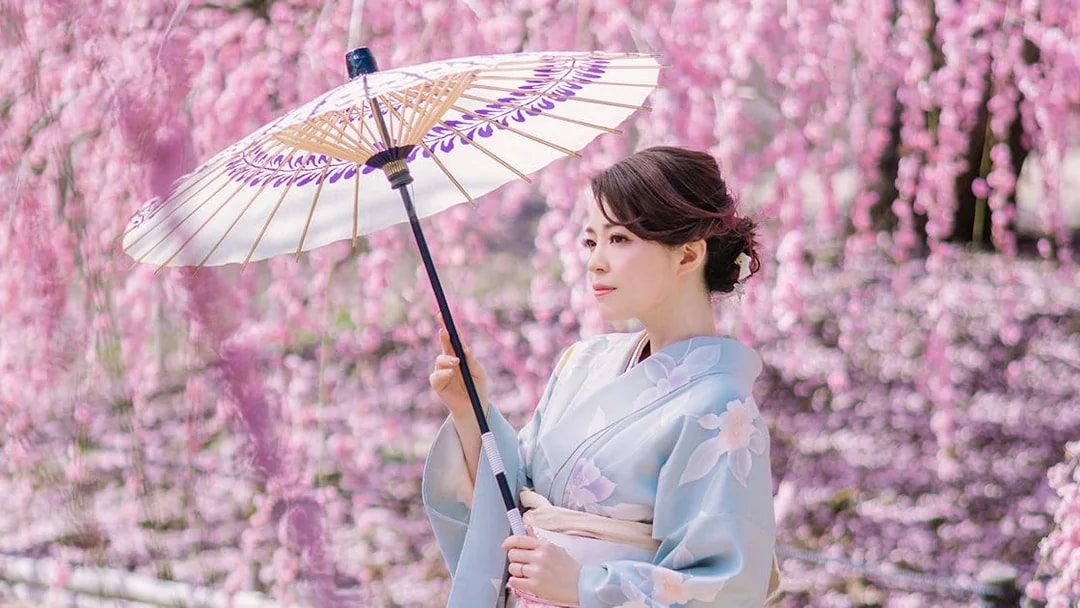 Woman in kimono with parasol in Kyoto Arashiyama during cherry blossom season.