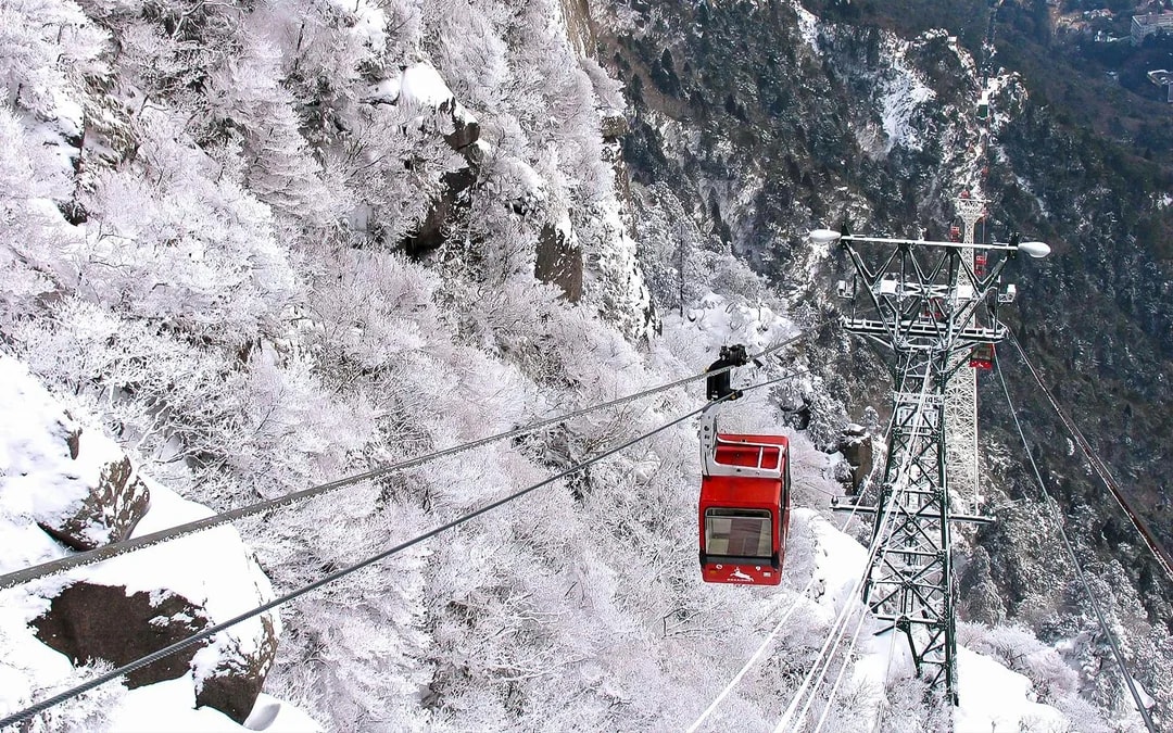 Kintetsu Rail Pass Image 8