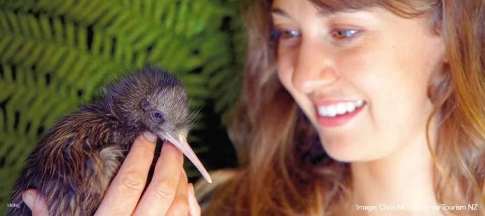Kiwi Birdlife Park Queenstown Ticket - New Zealand