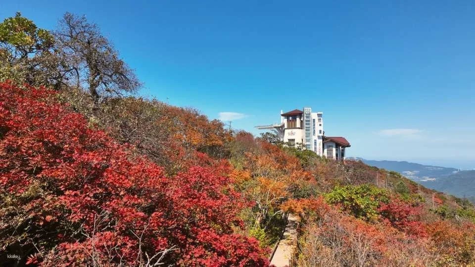 Balwangsan Cable Car & Skywalk Ticket at Yongpyong Ski Resort in Pyeongchang | Gangwon-do