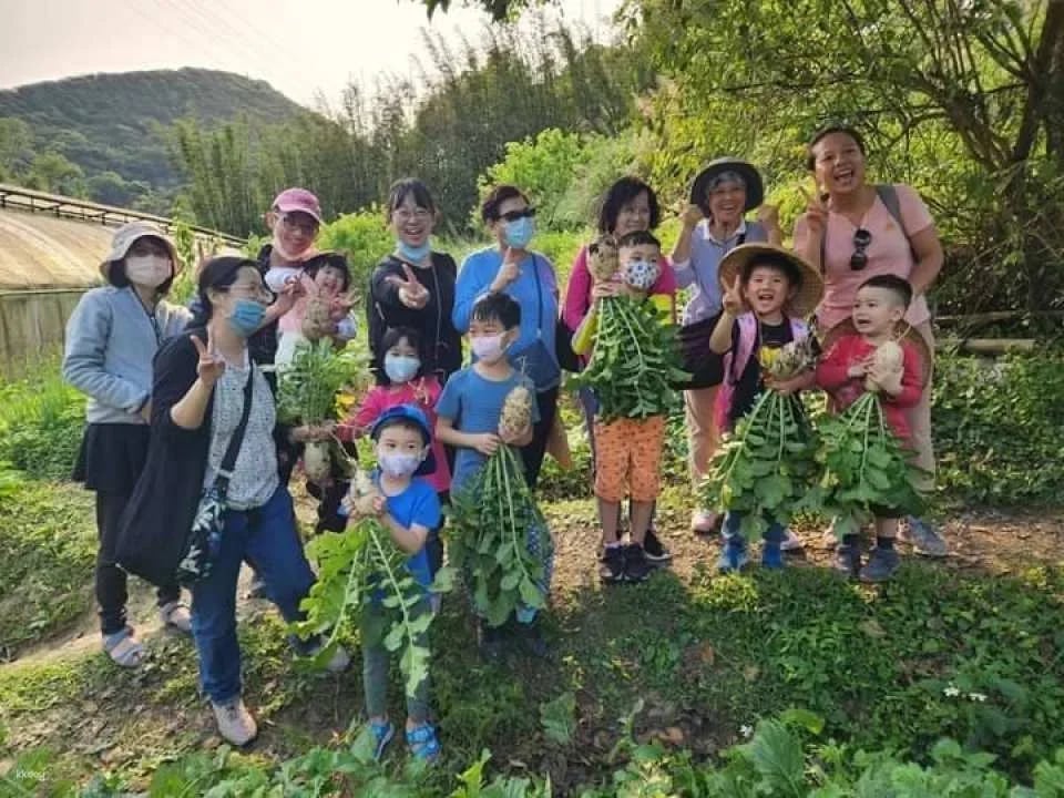 Taipei｜Little Farmer Half-day Experience｜Carrot Pulling Experience & Carrot Cake Making DIY． Sweet potato pulling experience & sweet potato round making DIY｜Wild Grass Flower and Fruit Organic Farm