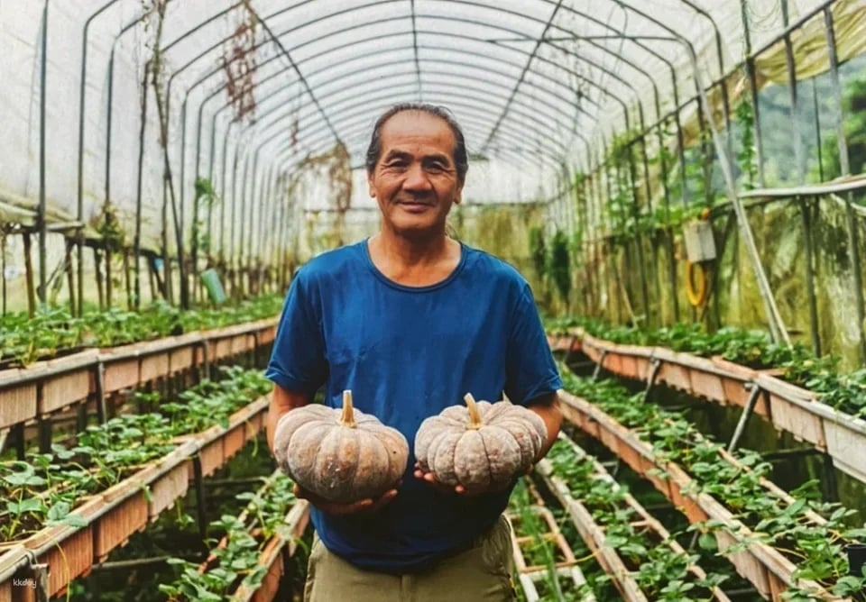 Taipei｜Little Farmer Half-day Experience｜Carrot Pulling Experience & Carrot Cake Making DIY． Sweet potato pulling experience & sweet potato round making DIY｜Wild Grass Flower and Fruit Organic Farm