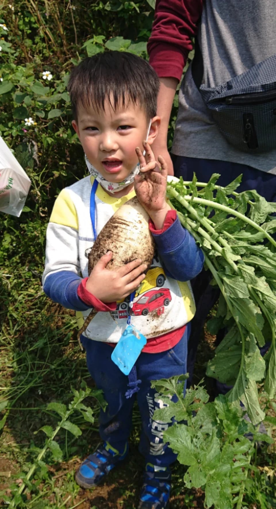 Taipei|Little Farmer Half-day Experience|Carrot Pulling Experience & Carrot Cake Making DIY. Sweet potato pulling experience & sweet potato round making DIY|Wild Grass Flower and Fruit Organic Farm