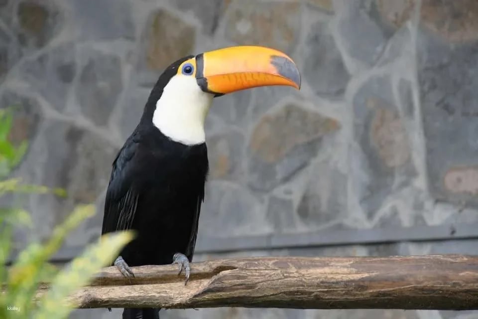 Tickets for Nantou Phoenix Valley Bird Park Ecological Park and Chelungpu Fault Preservation Park