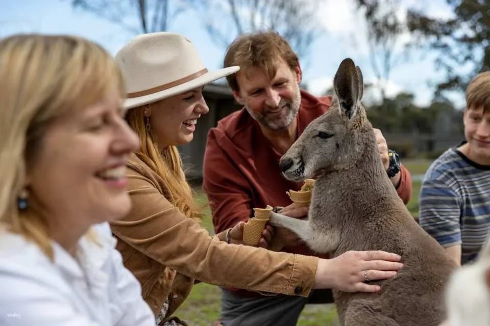 Hunter Valley Wildlife Park General Admission | Australia (121506)