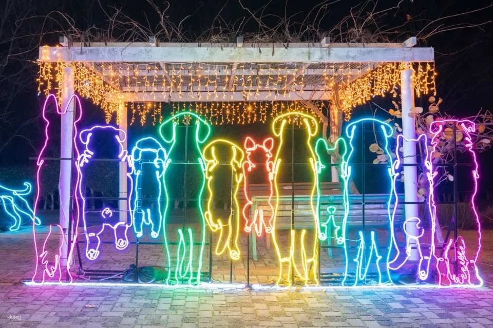 Kobe Illuminage Admission Ticket (Hyogo Prefecture, Illumination)