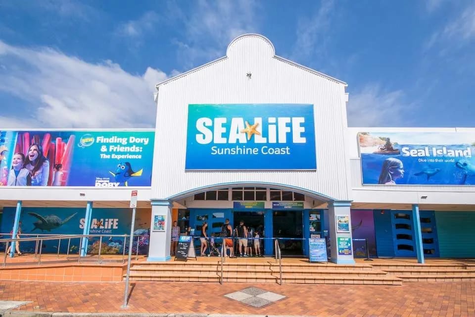 SEA LIFE Sunshine Coast Aquarium Ticket | Queensland (132082)