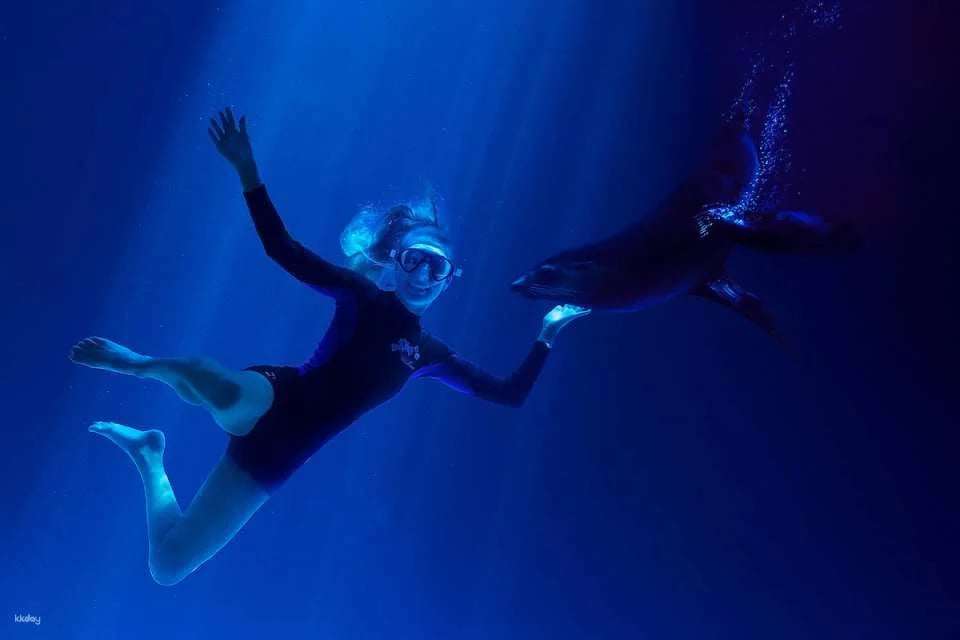 SEA LIFE Sunshine Coast Aquarium Ticket | Queensland