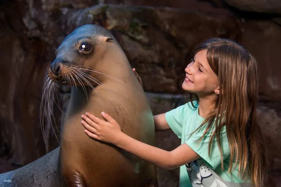 SEA LIFE Sunshine Coast Aquarium Ticket | Queensland