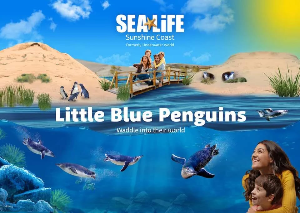 SEA LIFE Sunshine Coast Aquarium Ticket | Queensland