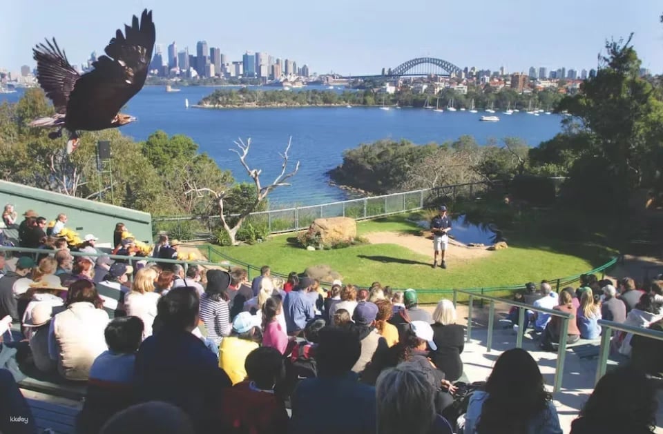 Taronga Zoo Tickets with Sydney Harbour Return Ferry (136112)