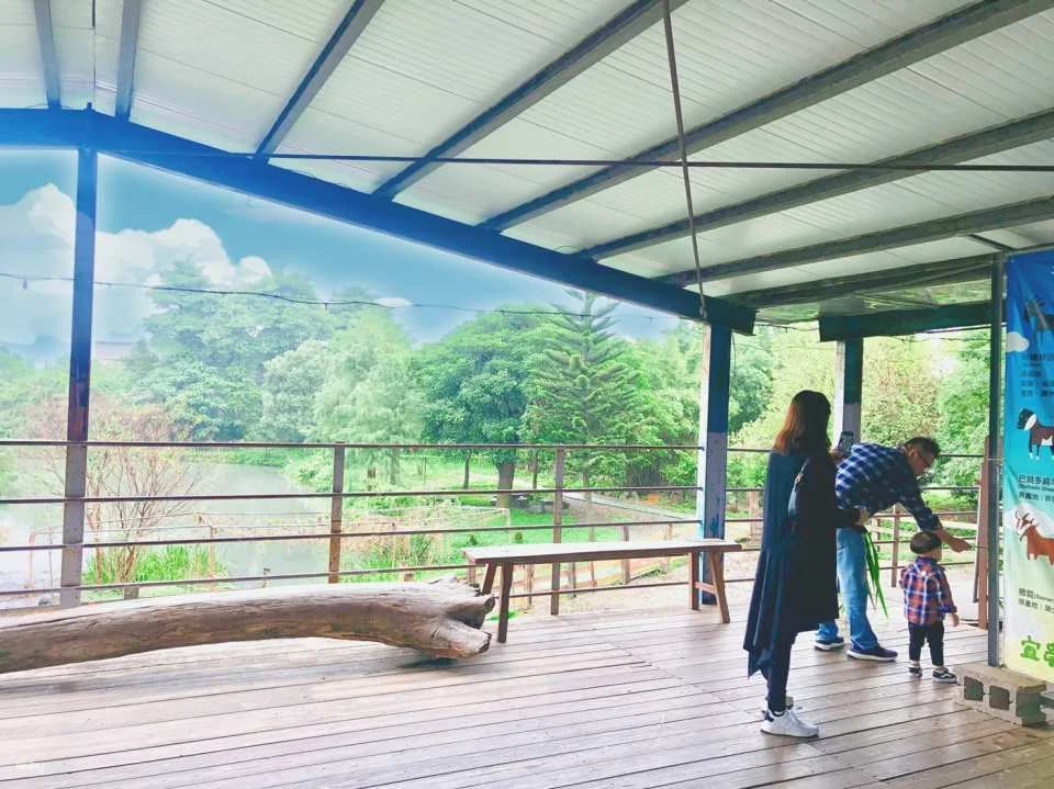 Yilan｜Yinong Ranch x One-day trip to popular attractions for parents and children (animal feeding experience)｜Agricultural Travel Supermarket